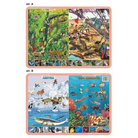 Podkładka edukacyjna Visual System Geografia #2